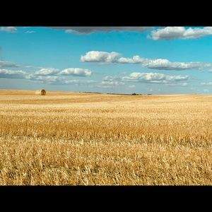 Meet your Posher, Patti